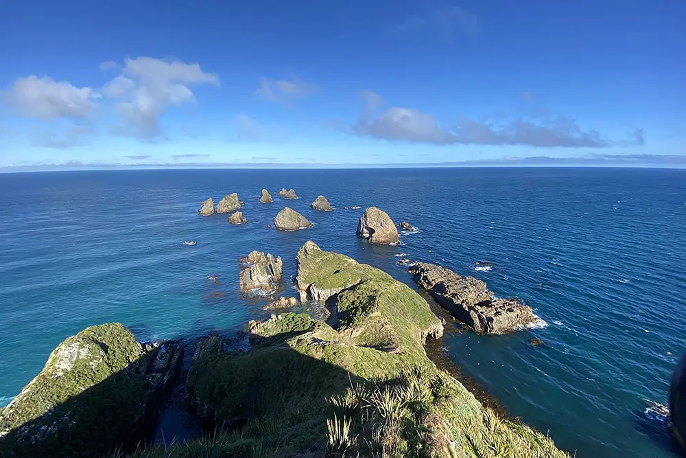 Nugget Point, Southland - New Zealand
