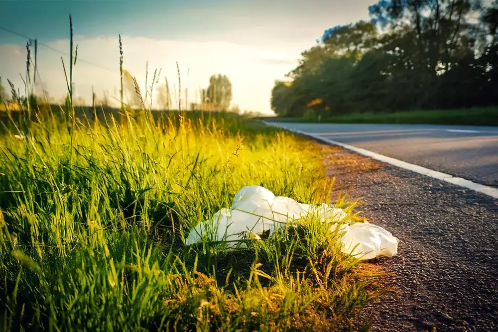 A plastic bag on the side of a road.